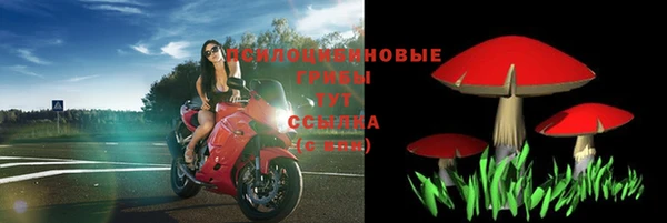 Альфа ПВП Абаза