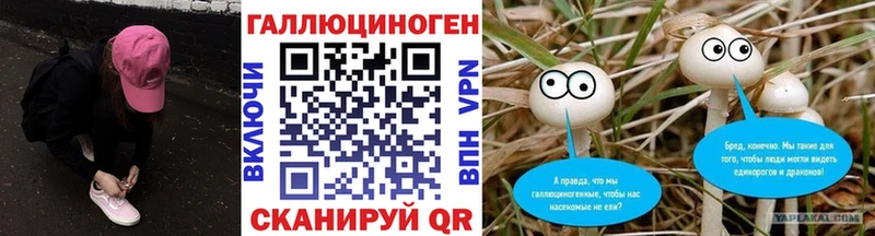 даркнет сайт Киренск Галлюциногенные грибы прущие грибы